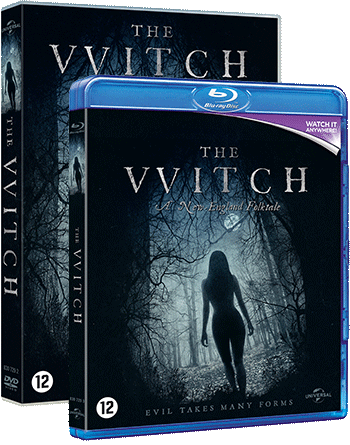the_witch_2015_poster.jpg